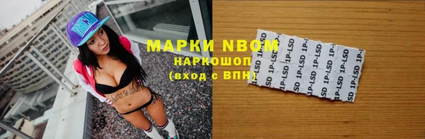 амф Дмитриев