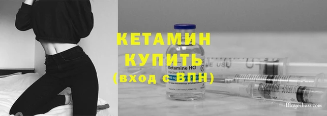 стаф Вязники