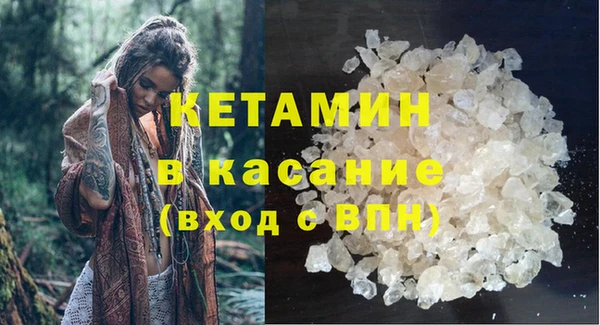 амф Дмитриев