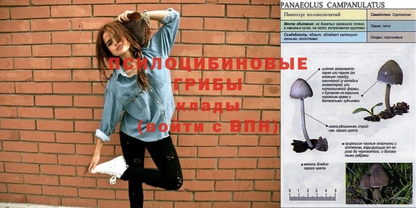 стафф Вяземский