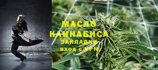 амф Дмитриев