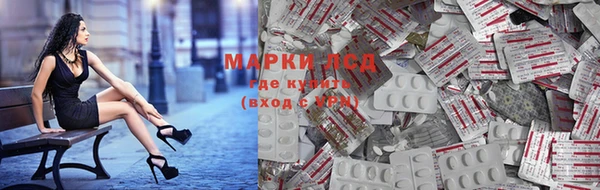 стафф Вяземский