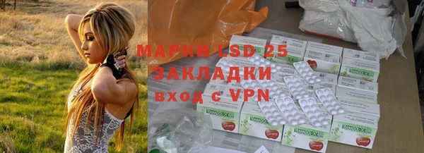 амф Дмитриев