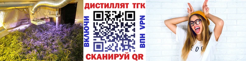 Купить закладки  Почеп  Дистиллят ТГК гашишное масло 