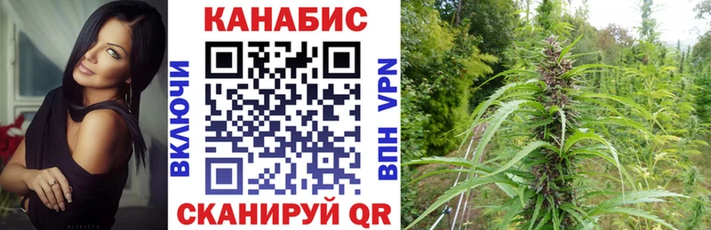 Бошки Шишки Ganja  Купить  Почеп 